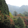 湯出神社の裏側の紅葉
