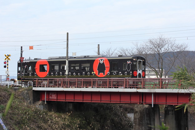 写真: くまモン列車