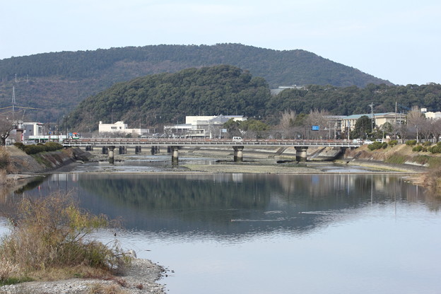 写真: 新水俣橋
