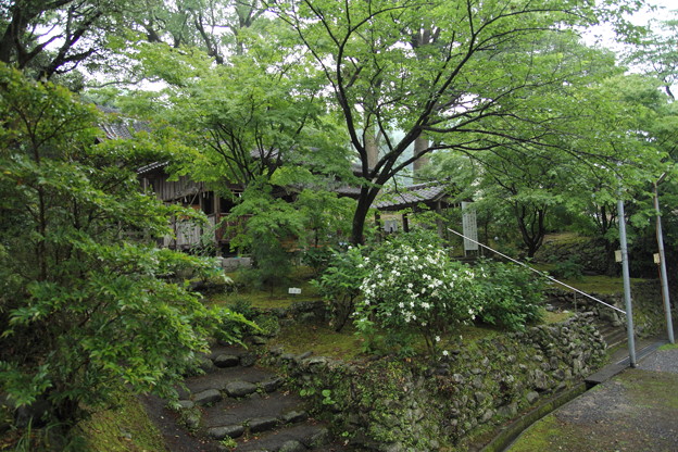 写真: 雨の諏訪神社