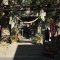 写真: 初詣・・諏訪神社