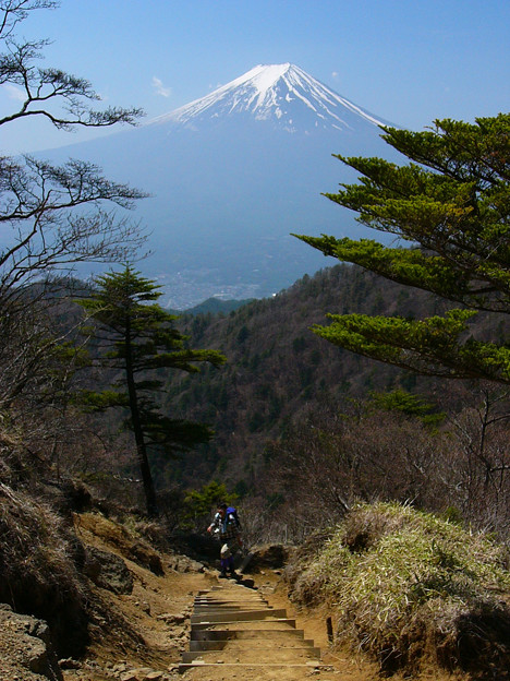 写真: 三ッ峠からの富士山