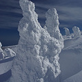 写真: 巨大樹氷・山形