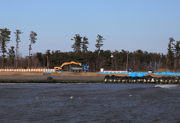 写真: 堤防の復旧作業