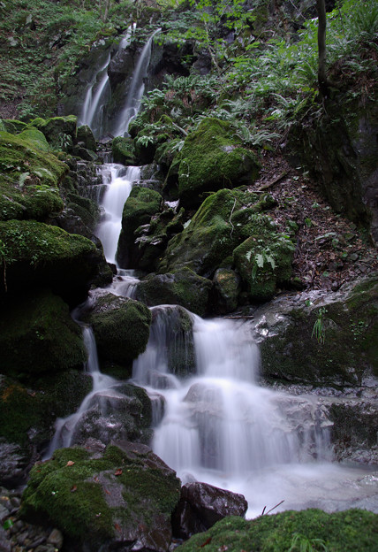 写真: 深森の薄衣の滝