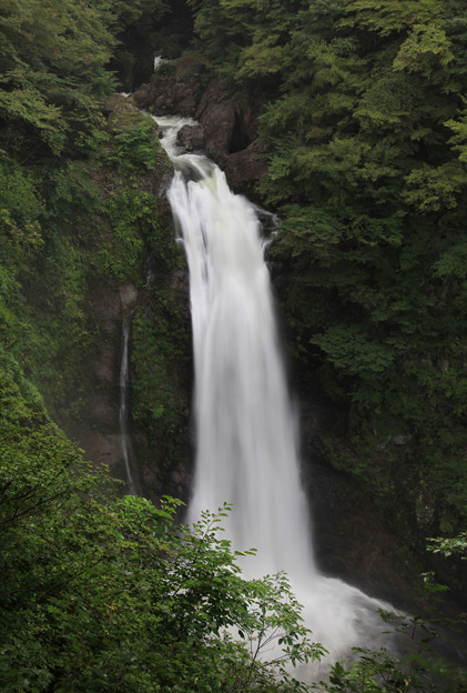 写真: 大瀑布の秋保大滝