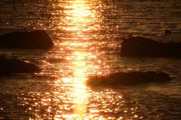 写真: 夕焼けの海