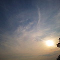 高尾山頂からの飛行機雲