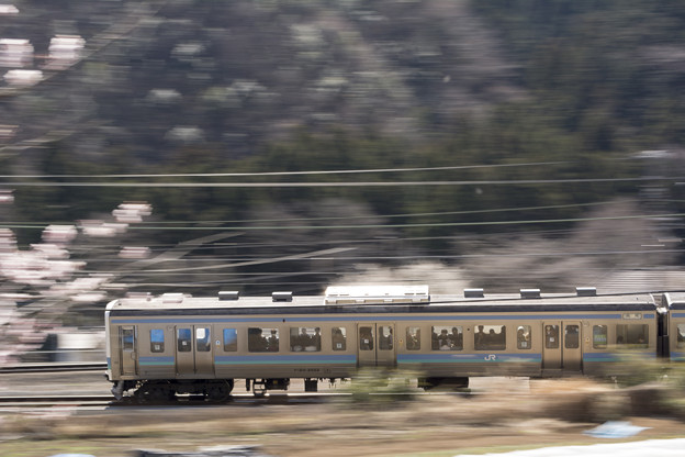 写真: 中央本線普通列車が行く