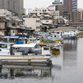 写真: 横浜運河沿い1
