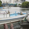 写真: 横浜運河沿い2