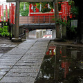 Photos: 雨上がりの神社