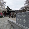 大光寺の桜