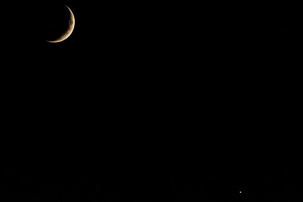 写真: ー三日月と金星ー