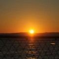 写真: みーんなが見ていた湘南の夕陽