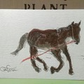 写真: 喜14 馬を描いてみました