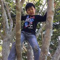写真: 木登り中の甥