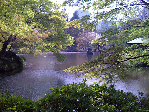 Kumogata Pond, Hibiya Park