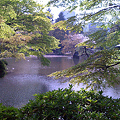 写真: Kumogata Pond, Hibiya Park
