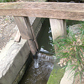 写真: Water gate in Koishikawa Korakuen Garden