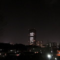 写真: 夜桜（東京）