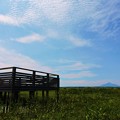 写真: サロベツ原野からの利尻富士-3