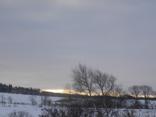 写真: 雪国の朝景