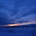 写真: 青の夕景