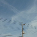 写真: 8.29 午後の鳥雲