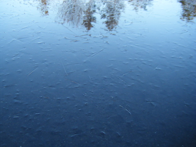 写真: 水から氷へ。。