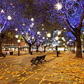写真: Autumn Color( Sloane Square)