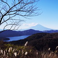 写真: Mt.Fuji