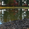 写真: 毛越寺の池