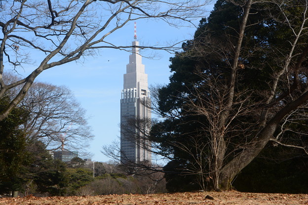 写真: NTTドコモ代々木ビル