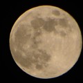写真: 平成最後の満月