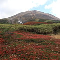 写真: 旭岳と紅葉