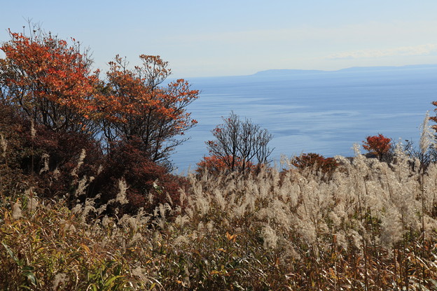 写真: 海向山の紅葉