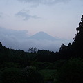 写真: 明けの富士(森に囲まれ)
