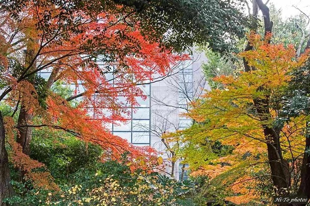 小石川後楽園の秋