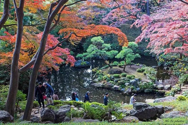 写真: 錦色の庭園