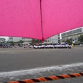 写真: 雨の運動会