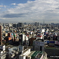 写真: 新宿エルタワーからの眺め