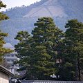 京都御苑から眺める大文字