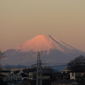 写真: 元日の富士2