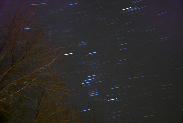 写真: Backyard Sky with Orion