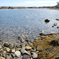 Rachel Carson Salt Pond Preserve 8-22-14