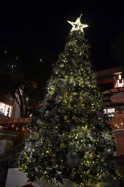 Christmas Tree on the 3rd 2016