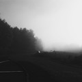 写真: In the Mist 10-14-17