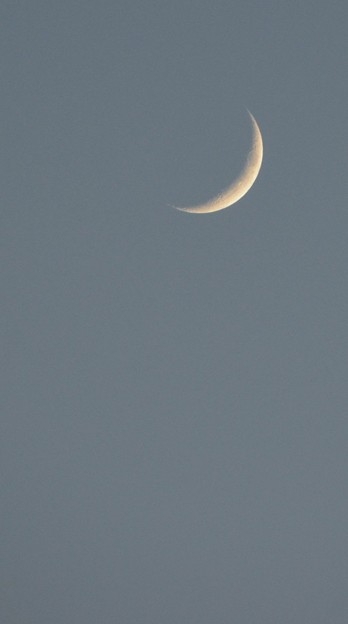 写真: The Crescent Moon 9-23-17