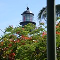 写真: The Lighthouse 6-8-19